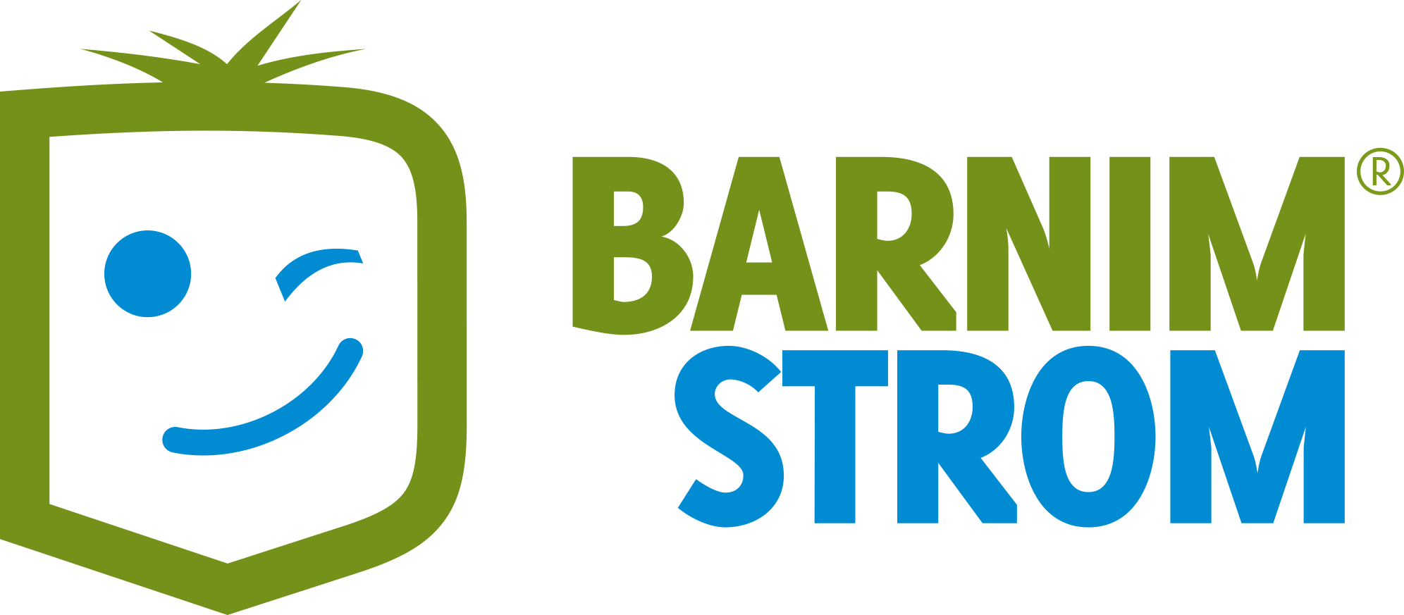 Logo Barnim Strom